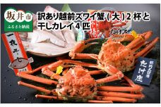 【電話連絡で安心】訳あり≪茹で≫越前ズワイ蟹(大) 2杯 と 干しカレイ 4匹【2026年1月～3月発送予定】 [O-1603]