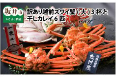 【電話連絡で安心】訳あり≪茹で≫越前ズワイ蟹(大) 3杯 と 干しカレイ 6匹【2026年1月～3月発送予定】 [P-1605]