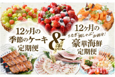 【12ヶ月定期便ダブル！】 うなぎ！鯛しゃぶ！お刺身！豪華海鮮定期便＜極＞ ＋ 季節のケーキ定期便 [V-1601]