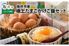 坂井市産極上たまごかけご飯セット ～坂井平野の恵み～ [A-1204]