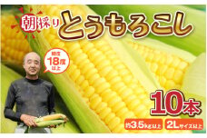 【先行予約】 とうもろこし 10本 (1本：2Lサイズ以上 370g～450g) 『メロンより甘い』もろこしやの朝取れとうもろこし ～驚きの糖度18度以上！～ (わくわくコーン) 【2026年6月上旬以降順次発送】 【イエローコーン スイートコーン 黄甘コーン 旬の味覚 朝採れ 新鮮  野菜 甘い バーベキュー BBQ アウトドア キャンプ 産地直送】 [A-7102]