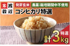 【令和6年産】【発芽玄米】 福井県産 コシヒカリ特選 真空パック 3kg  ～玄米以上の栄養価と白米に近い柔らかさ～ 【無洗米 米 玄米 こしひかり ギャバ GABA 食物繊維 栄養 真空パック ごはん ご飯 おいしい ふるさと納税米】 [A-2963] 