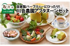 自家製ハーブティーにぴったりの川合農園アフタヌーンセット ～季節を味わうお野菜とシフォンケーキ付き～ [A-7501]