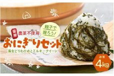 親子で握ろう！農薬不使用！ 豪華おにぎりセット ～海女どりわかめとミルキークイーン～ [B-6002]