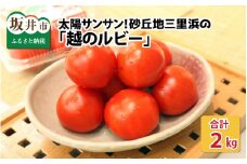【先行予約】太陽サンサン砂丘地三里浜の 越のルビー 約2kg 【2025年9月下旬以降順次発送予定】 [A-8301]