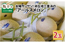 太陽サンサン砂丘地三里浜の アールスメロン 2玉 [A-8302]