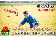 【先行予約】【令和5年産】定期便 ≪3ヶ月連続お届け≫  さんさん池見二代目のお米 3種食べ比べ定期便 10㎏×3回 計30㎏ 【2023年8月下旬以降順次発送予定】[C-0264]