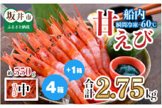 海の上で食べる味！漁船直送☆船内瞬間冷凍 甘えび 約2.75kg 【海老 えび エビ アマエビ あまえび 甘海老 殻付き 有頭 生食 刺身 冷凍 魚介類 魚貝類 産地直送 坂井市産 福井県産 国産 三国 人気】 [C-2303]