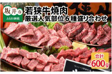 若狭牛焼肉 厳選人気部位6種盛り合わせ 計600g [C-1851]
