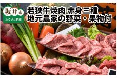 若狭牛焼肉 赤身三種 食べ比べセット ～地元青年農家の野菜・果物付き～ [D-1803]