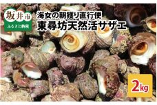 海女の朝獲り直行便 東尋坊天然活サザエ2kg 【さざえ 栄螺 貝 天然 魚貝 海産物 海鮮 鮮魚 刺身 つぼ焼き BBQ 国産 産地直送】[A-6006]