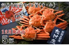 【電話連絡で安心】 訳あり≪茹で≫越前セイコ蟹(中・小) 5杯【2025年12月発送分】 [F-1601_12]