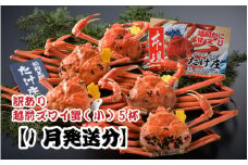 【電話連絡で安心】訳あり≪茹で≫越前ズワイ蟹(小) 5杯【2026年1月発送分】 [J-1605_01]