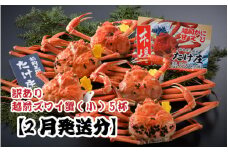 【電話連絡で安心】訳あり≪茹で≫越前ズワイ蟹(小) 5杯 【2026年2月発送分】 [J-1605_02]