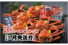 【電話連絡で安心】訳あり≪茹で≫越前ズワイ蟹(小) 5杯 【2026年3月発送分】 [J-1605_03]