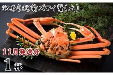 【電話連絡で安心】訳あり≪茹で≫越前ズワイ蟹(大) 1杯【2025年11月発送分】 [I-1601_11]