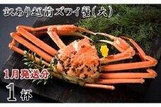 【電話連絡で安心】訳あり≪茹で≫越前ズワイ蟹(大) 1杯【2026年1月発送分】 [I-1601_01]