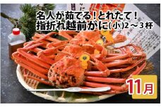 【先行予約】名人が茹でる とれたて指折れ越前がに(小) 2～3杯【11月発送分】 [C-4352_11]