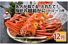 【先行予約】名人が茹でる とれたて指折れ越前がに(小) 2～3杯【12月発送分】 [C-4352_12]