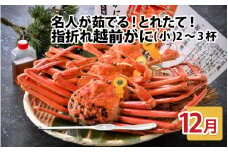 【先行予約】名人が茹でる とれたて指折れ越前がに(小) 2～3杯【12月発送分】 [C-4352_12]