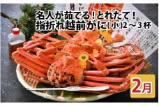 【先行予約】名人が茹でる とれたて指折れ越前がに(小) 2～3杯【2月発送分】 [C-4352_02]