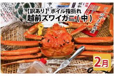 【先行予約】名人が茹でる とれたて指折れ訳あり越前がに(中) 1杯 やまに仕込み【2月発送分】 [E-4353_02]