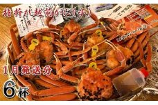 【先行予約】名人が茹でる 指折れ訳あり越前がに(小) 6杯 やまに仕込み【1月発送分】 [F-4352_01]