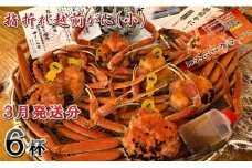 【先行予約】名人が茹でる 指折れ訳あり越前がに(小) 6杯 やまに仕込み【3月発送分】 [F-4352_03]
