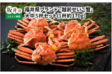  【先行予約】福井県ブランド ≪茹で≫「越前セイコ蟹」 大中5杯セット 【2025年11月発送分】 [I-1402_11]