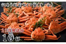 【電話連絡で安心】訳あり≪茹で≫越前セイコ蟹(中・小) 10杯【2025年11月発送分】 [K-1601_11]