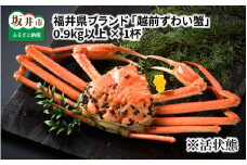 【先行予約】福井県ブランド ≪茹で≫「越前ズワイ蟹」 0.9kg以上 【2025年12月発送分】 [K-1401_12]
