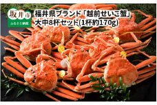 【先行予約】福井県ブランド ≪茹で≫「越前セイコ蟹」 大中8杯セット 【2025年12月発送分】 [K-1402_12]
