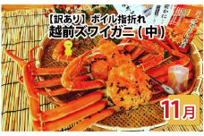 【先行予約】名人が茹でる とれたて指折れ越前がに(中) 2杯【11月発送分】 [J-4304_11]