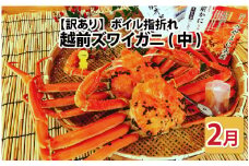 【先行予約】名人が茹でる とれたて指折れ越前がに(中) 2杯【2月発送分】 [J-4304_02]