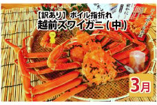 【先行予約】名人が茹でる とれたて指折れ越前がに(中) 2杯【3月発送分】 [J-4304_03]