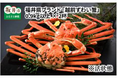 【先行予約】福井県ブランド ≪茹で≫「越前ズワイ蟹」 0.9kg以上 2杯 【2026年1月発送分】 [O-1404_01]