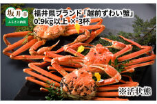 【先行予約】福井県ブランド ≪茹で≫「越前ズワイ蟹」 0.9kg以上 3杯 【2026年1月発送分】 [Q-1401_01]