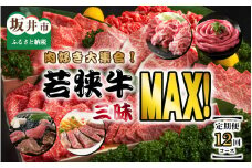 【定期便 12回コース】 肉好き大集合！若狭牛三昧MAX！！ 定期便！！ [N-3202]