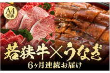 【定期便 6回コース】 蒲焼き鰻 と 肉の鉄板コース 定期便 【うなぎ＆若狭牛】【牛肉 牛 国産牛 国産 和牛 お肉 ブランド牛 焼肉 鰻のかば焼き ウナギ 黒毛和種 黒毛和牛 A4等級クラス 人気】 [I-3201]
