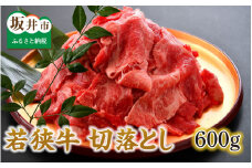 美味しい若狭牛切り落とし 600g [A-2101]
