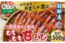 [A-4349] 【訳あり】 とれたて三国港 やまにの選ぶ もちもち甘えび(冷凍)  約1.5kg