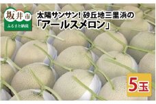 【先行予約】太陽サンサン砂丘地 三里浜のアールスメロン5玉（1玉あたり約1.7～2.0kg）【2025年9月上旬以降順次発送予定】 [B-8301]