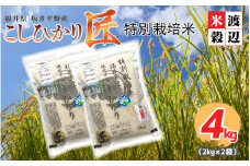 【令和6年産】農薬・化学肥料不使用 コシヒカリ匠 4kg (2kg × 2袋)（玄米） [A-2964_02]