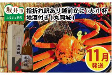 【先行予約】名人が茹でる　指折れ訳あり越前がに(大)1杯　やまに仕込み　地酒(丸岡城)付き【11月発送分】 [G-4302_11]