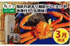 【先行予約】名人が茹でる 指折れ訳あり越前がに(大)1杯 やまに仕込み 地酒(丸岡城)付き【3月発送分】[G-4302_03]