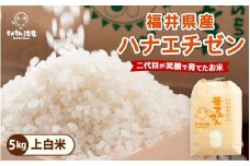 【令和7年産・新米】ハナエチゼン 5kg 華越前 ～坂井市三国町産・こだわりの精米対応～（上白米） [A-0255_01]