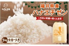 【令和7年産・新米】ハナエチゼン 5kg 華越前 ～坂井市三国町産・こだわりの精米対応～ （5分づき） [A-0255_03]