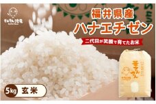 【令和7年産・新米】ハナエチゼン 5kg 華越前 ～坂井市三国町産・こだわりの精米対応～（玄米） [A-0255_04]
