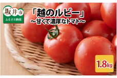 【先行予約】「越のルビー」 1.8kg ～甘くて濃厚なトマトをお届けします～【数量限定】【2024年6月中旬～6月下旬発送予定】【202406_受付終了】野菜 [A-1105]