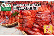 あま～い！エビ！えび！海老！今夜はえび三昧！大漁2㎏！！ 1kg × 2箱 （計2kg） [A-4381]